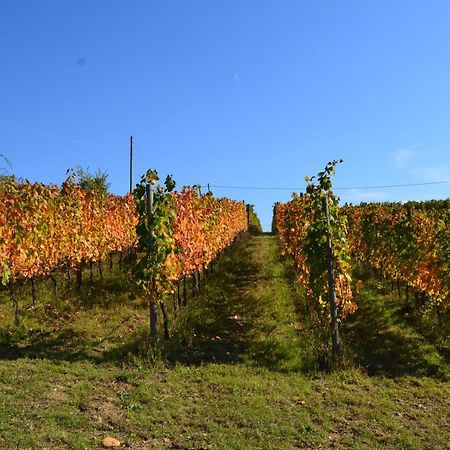 Agriturismo Costa Dei Platani Acqui Terme ภายนอก รูปภาพ