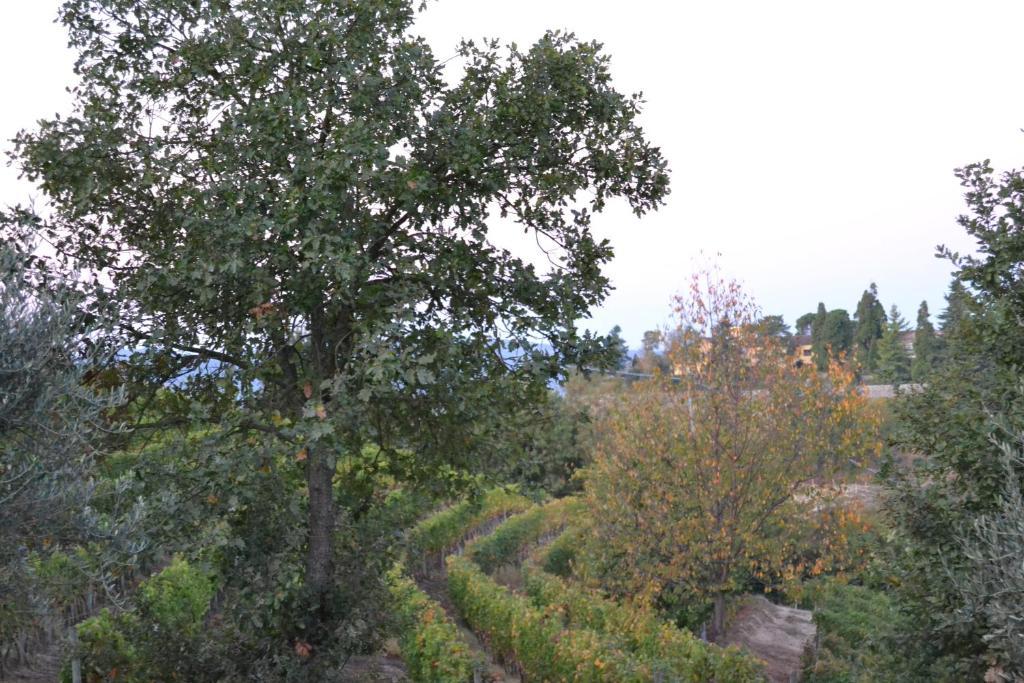 Agriturismo Costa Dei Platani Acqui Terme ภายนอก รูปภาพ
