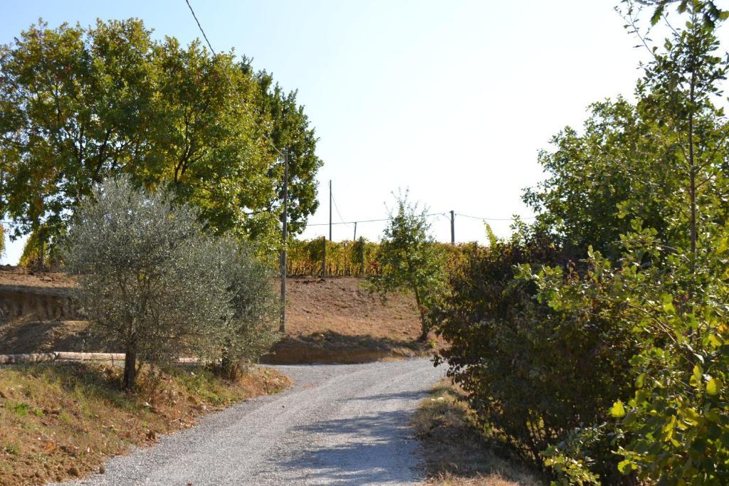 Agriturismo Costa Dei Platani Acqui Terme ภายนอก รูปภาพ