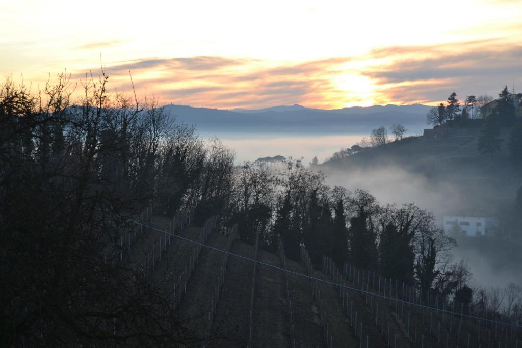 Agriturismo Costa Dei Platani Acqui Terme ภายนอก รูปภาพ