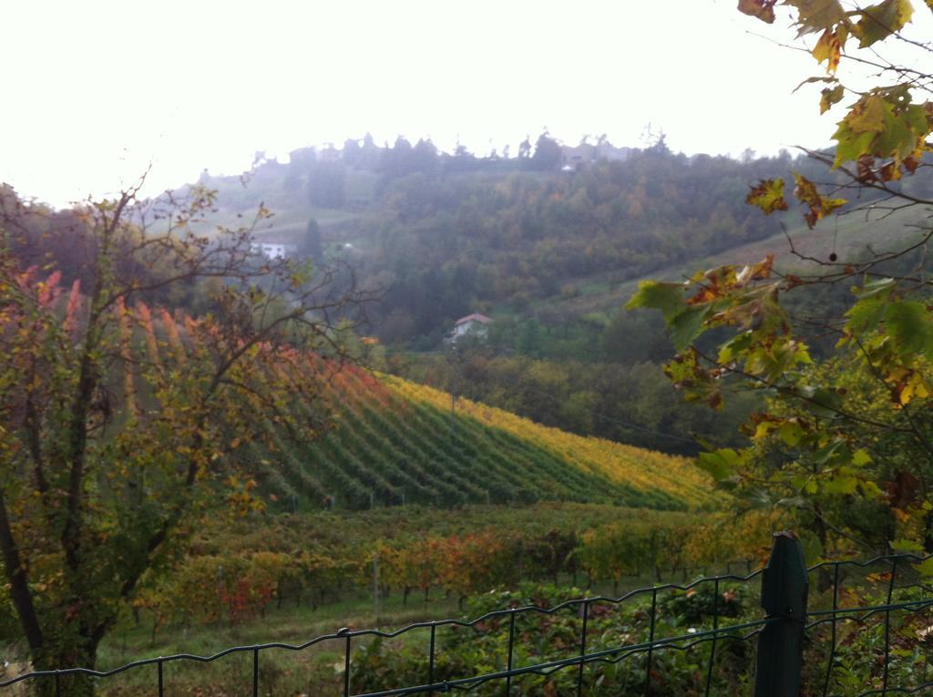 Agriturismo Costa Dei Platani Acqui Terme ภายนอก รูปภาพ