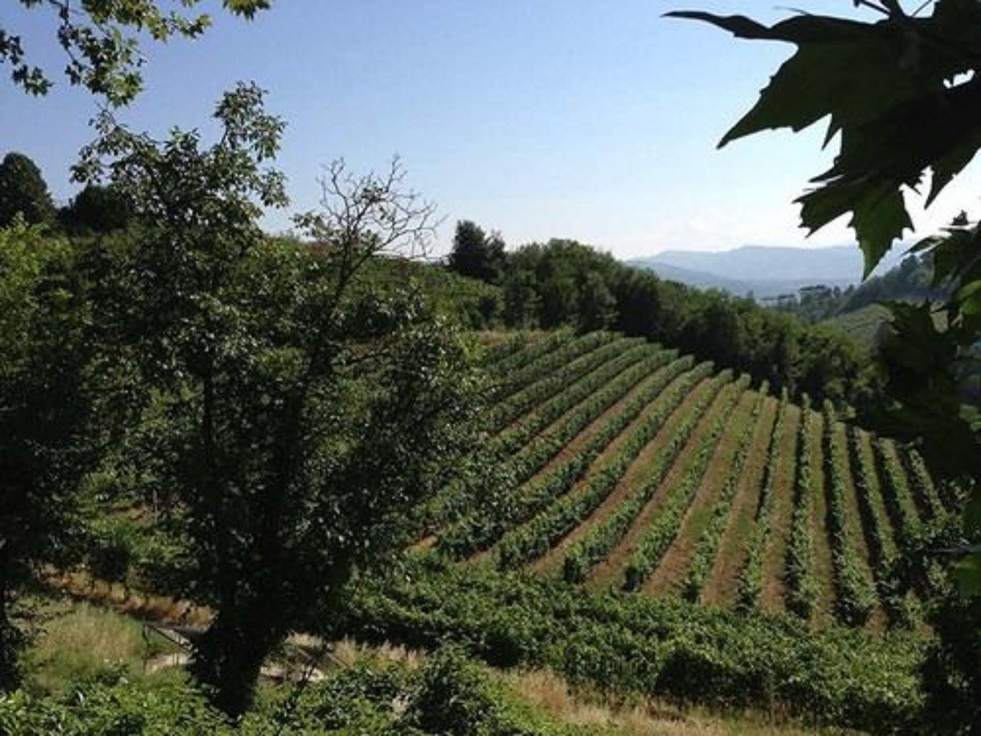 Agriturismo Costa Dei Platani Acqui Terme ภายนอก รูปภาพ