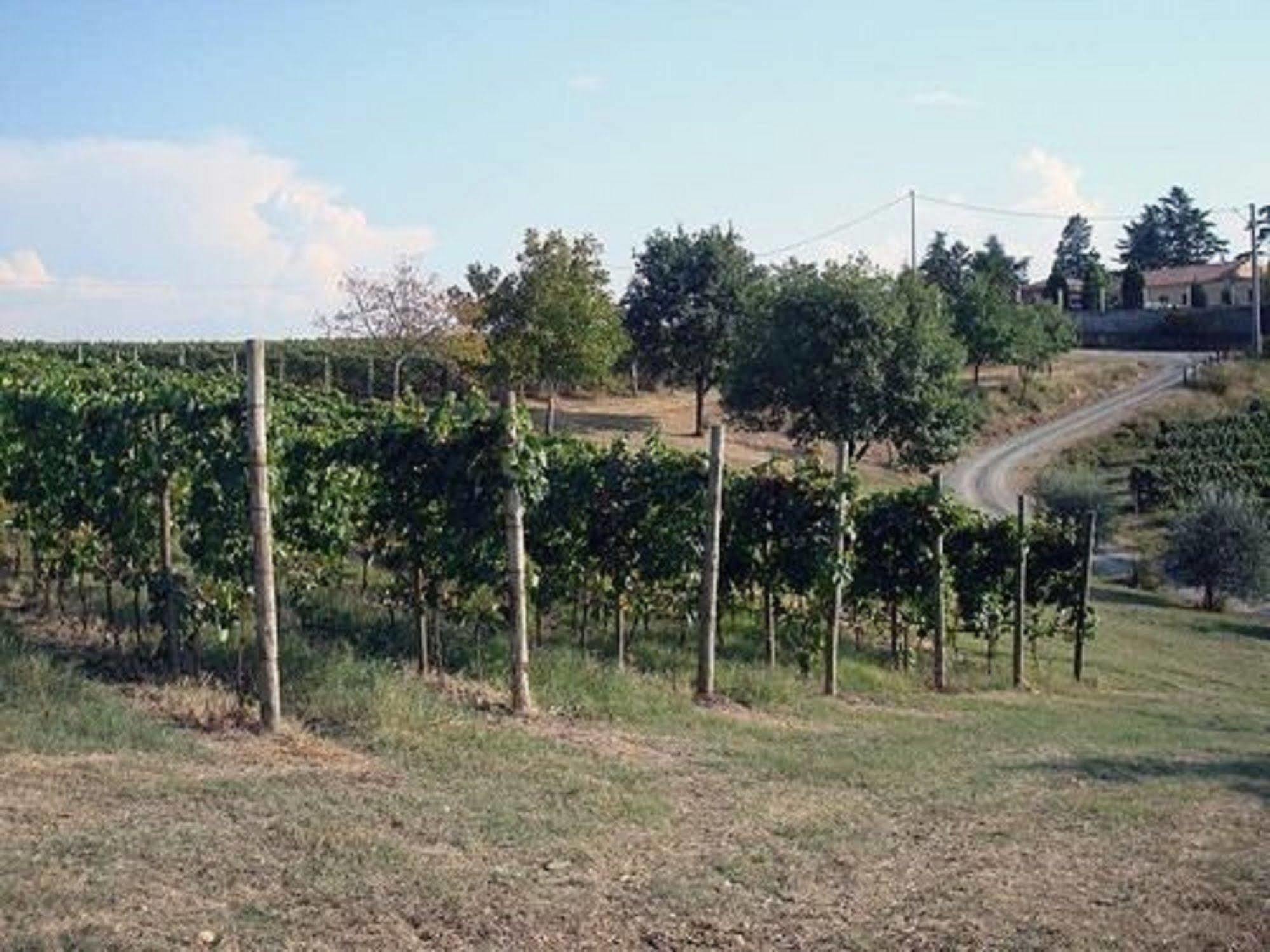 Agriturismo Costa Dei Platani Acqui Terme ภายนอก รูปภาพ