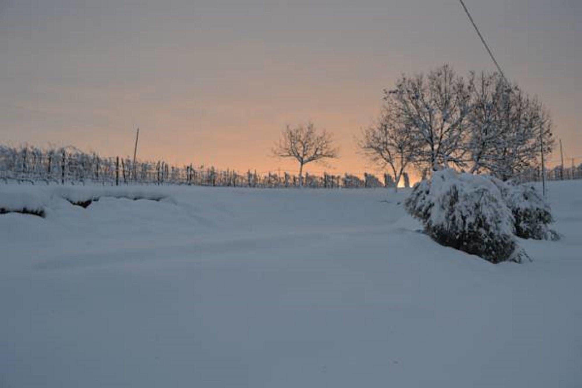 Agriturismo Costa Dei Platani Acqui Terme ภายนอก รูปภาพ
