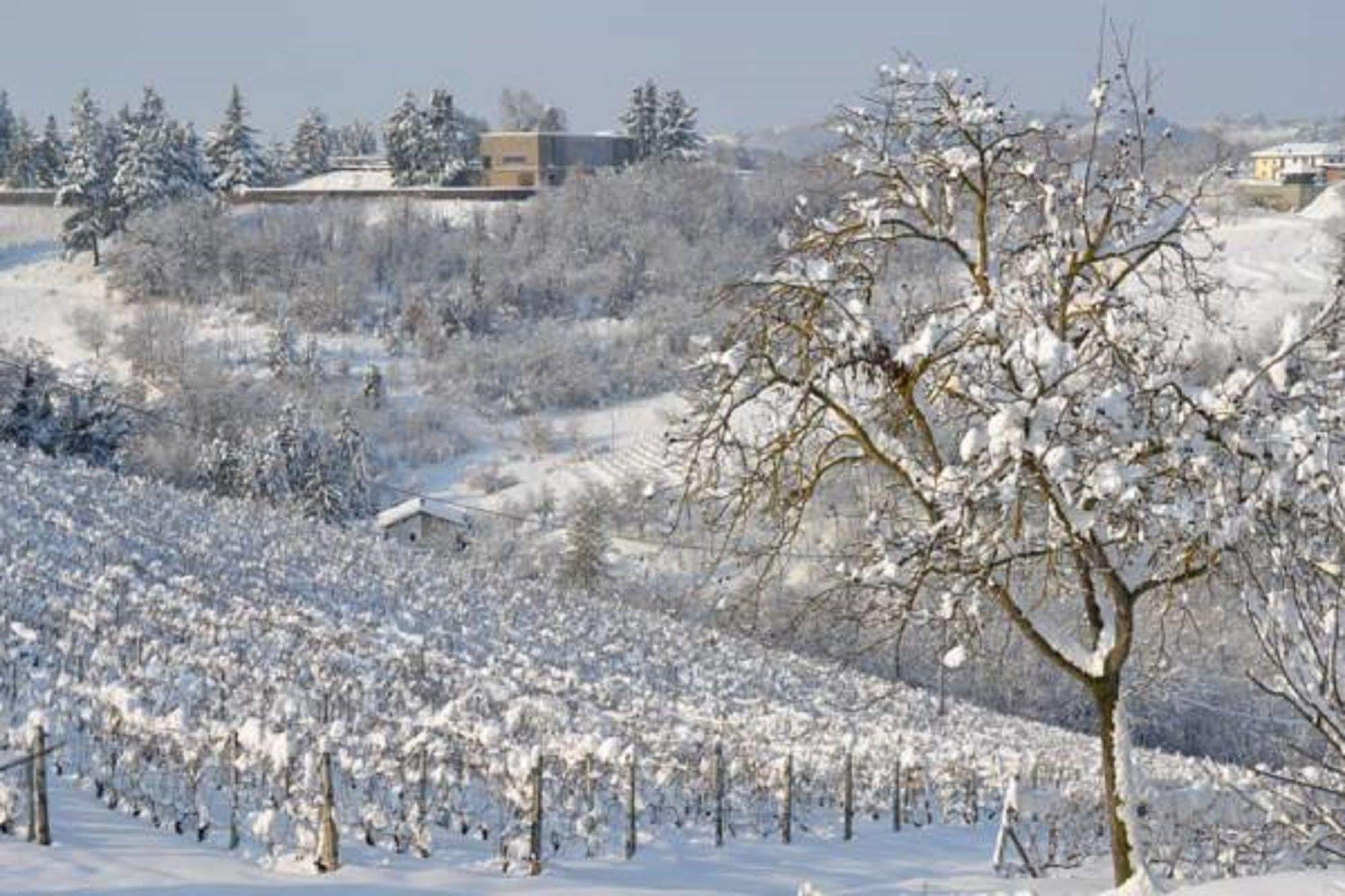 Agriturismo Costa Dei Platani Acqui Terme ภายนอก รูปภาพ