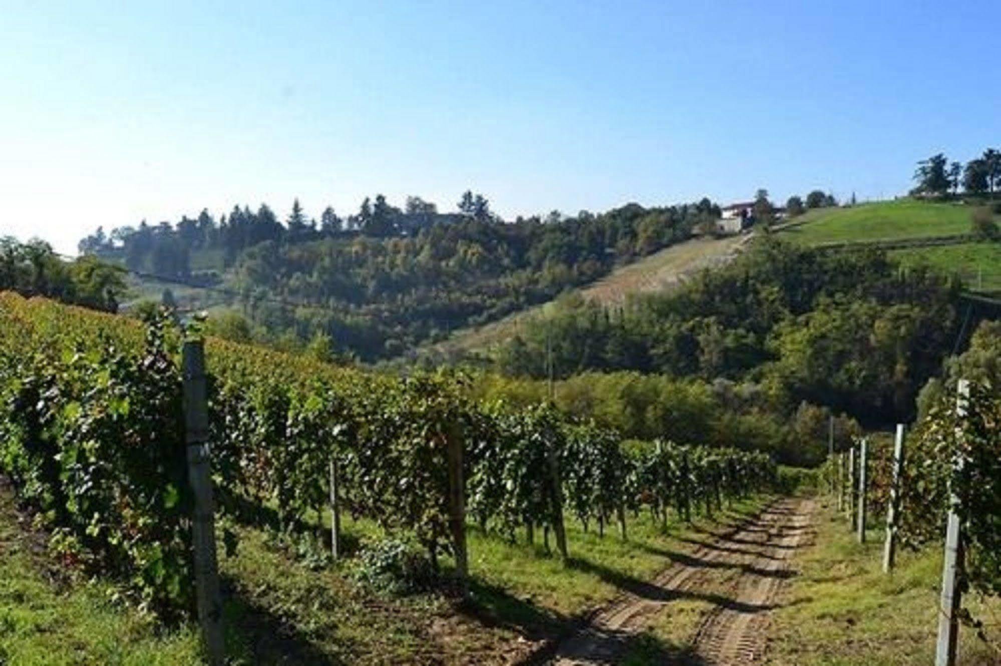 Agriturismo Costa Dei Platani Acqui Terme ภายนอก รูปภาพ
