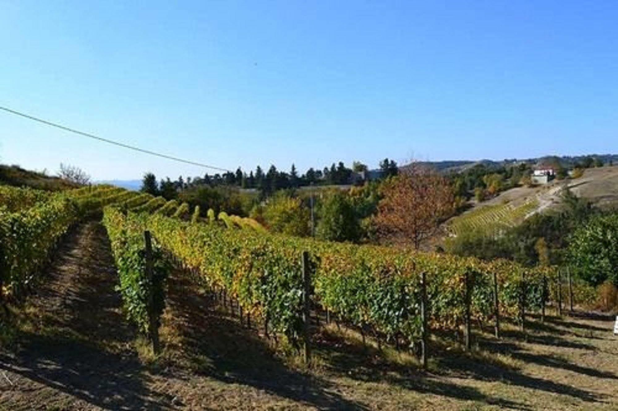 Agriturismo Costa Dei Platani Acqui Terme ภายนอก รูปภาพ