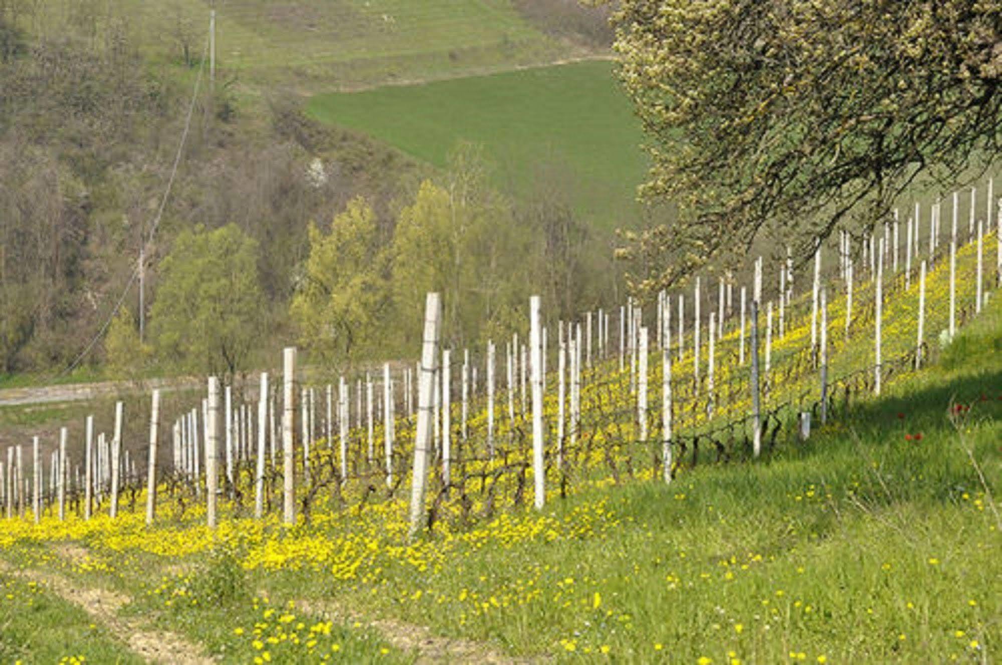 Agriturismo Costa Dei Platani Acqui Terme ภายนอก รูปภาพ