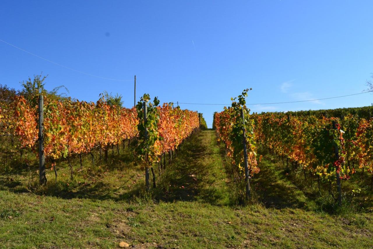 Agriturismo Costa Dei Platani Acqui Terme ภายนอก รูปภาพ